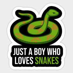 Just a boy who loves snakes Sticker